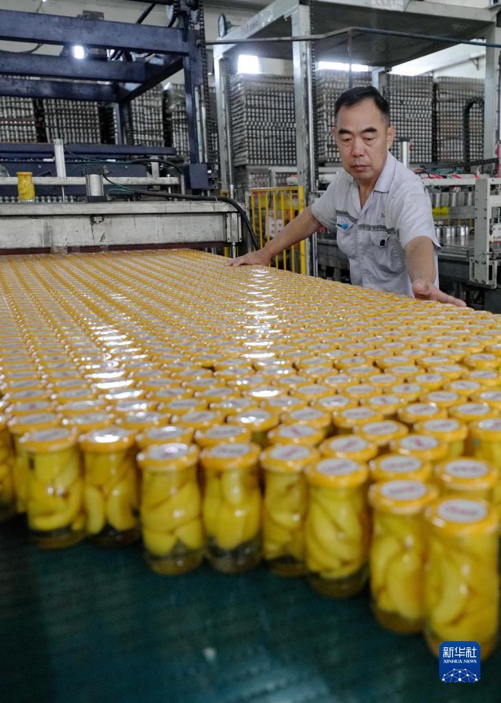 娱乐场送彩金